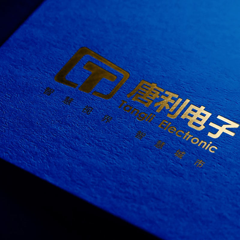 唐利電子科技LOGO+VI