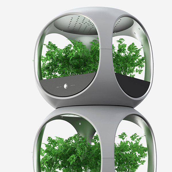 菜小盒智能蔬果種植機